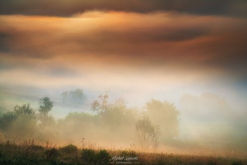 Foggy morning...