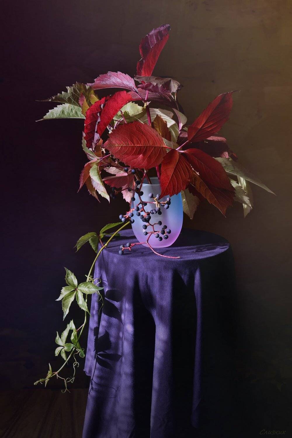 Гроздья дикого винограда... Автор: Инаида натюрморт,композиция,свет,осень,букет,листья,виноград, Инаида