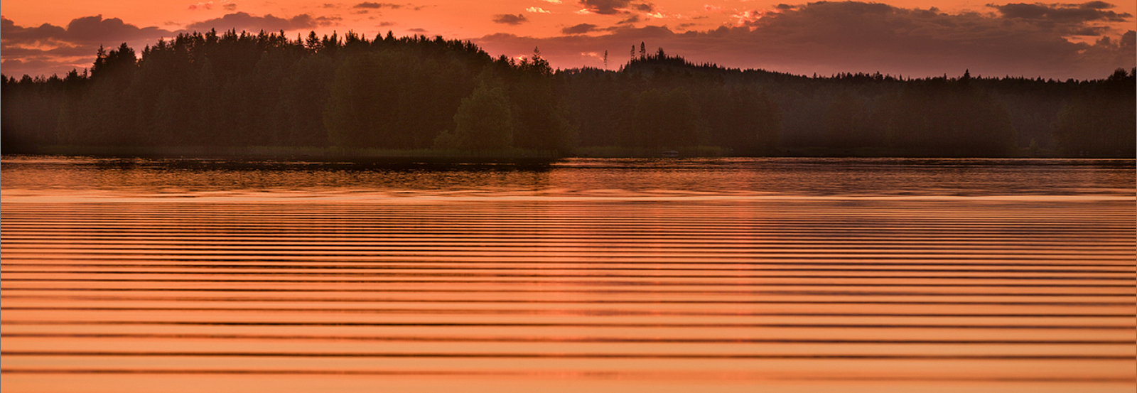 35Photo banner for @vlad