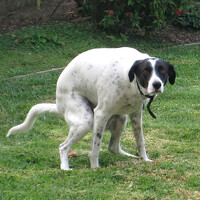 Portrait of a photographer (avatar) Андрей Любимов (Andrew Lubimov)