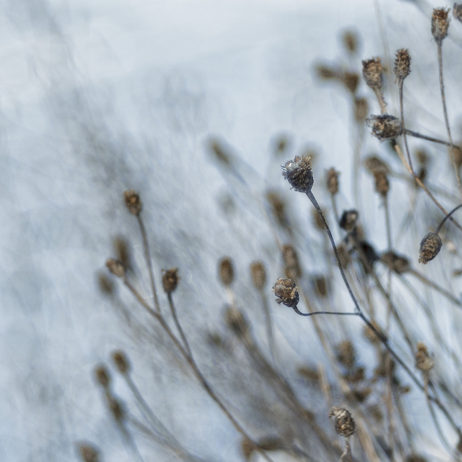 35Photo banner for @fatin