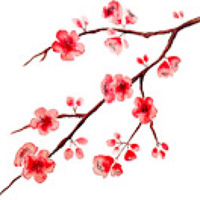 Portrait of a photographer (avatar) estelar