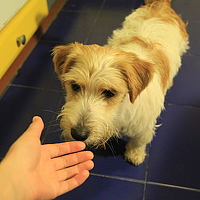 Photo апрпар (апрар) Portrait of a photographer (avatar) апрпар (апрар)