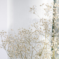 Photo Nankova Elena (E. Nankova) Portrait of a photographer (avatar) Nankova Elena (E. Nankova)