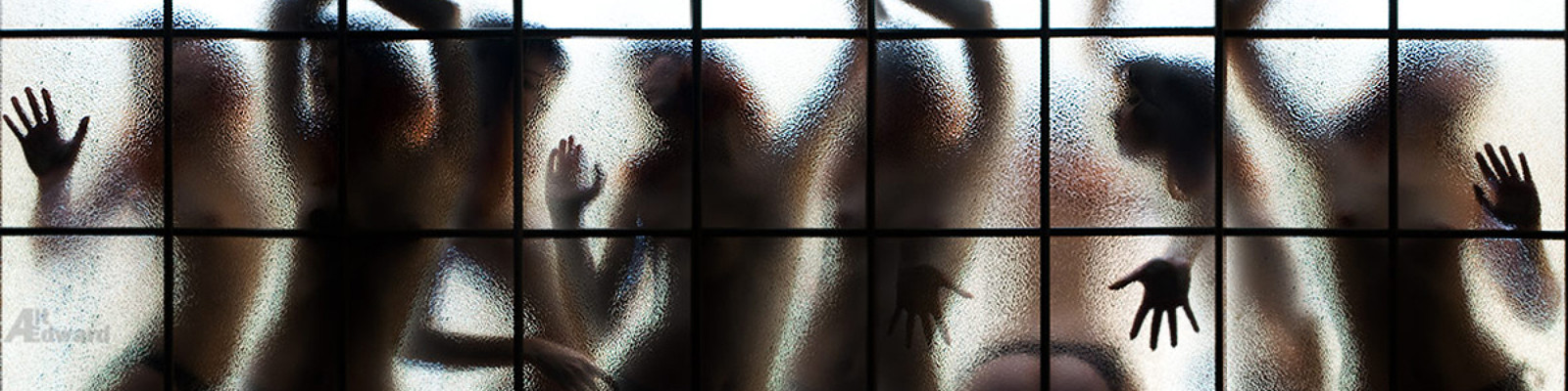 35Photo banner for @halt