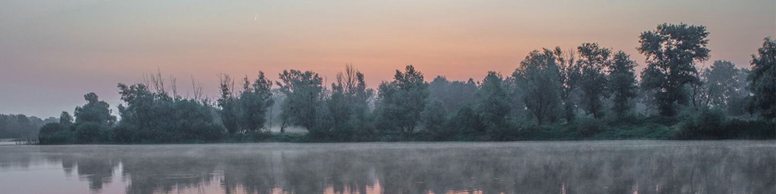 35Photo banner for @mak