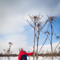 Photo анастасия Portrait of a photographer (avatar) анастасия