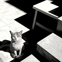 Portrait of a photographer (avatar) Raisa_Anush