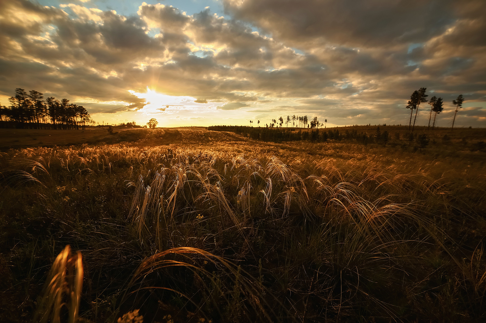 35Photo banner for @rika