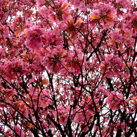 35Photo profile picture for @bertha