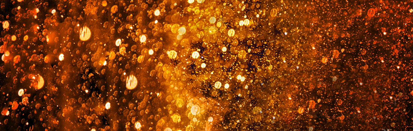 35Photo banner for @sharonov
