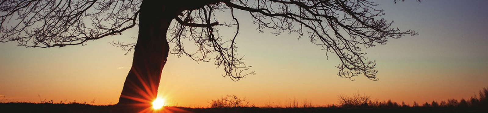 35Photo banner for @incognito