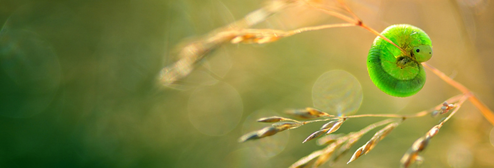 35Photo banner for @magda