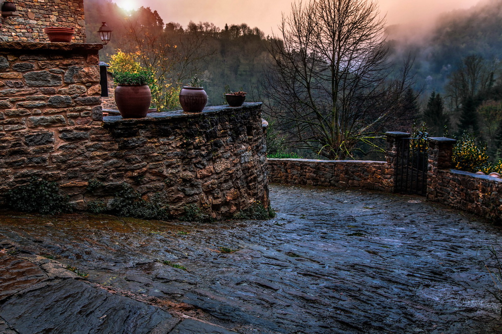 35Photo banner for @kolesnik