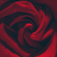 Portrait of a photographer (avatar) Дамир Сулейманов