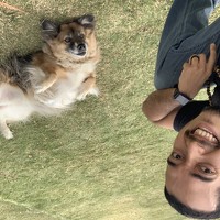 Portrait of a photographer (avatar) Adriano Carvalho