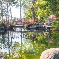 Portrait of a photographer (avatar) Le Tri (Lê Trí)