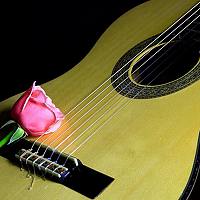 Portrait of a photographer (avatar) Nguyễn Anh Tuấn (Tuan Nguyen Anh.)