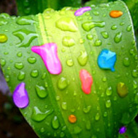 Portrait of a photographer (avatar) Ксюша (Ksucha)