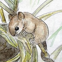 Евгения Муравская - photographer