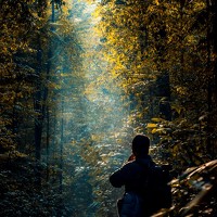 Portrait of a photographer (avatar) Dandi Rahman