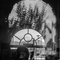 Portrait of a photographer (avatar) Francis Ganesan Muthiriyar Sonthanasamy (Francis Ganesan Muthiriyar Sonth)