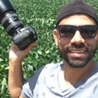 Portrait of a photographer (avatar) Fotos Rodrigo (Rodrigo Soares Dos santos)