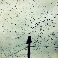 Photo Даря Ивушкина (Darya Ivushkina) Portrait of a photographer (avatar) Даря Ивушкина (Darya Ivushkina)