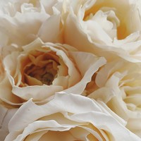 Portrait of a photographer (avatar) Мария Боевая (Mary Boevaya)