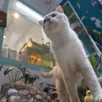 Portrait of a photographer (avatar) Đỗ Minh Hà Tuấn (Viet Nam)