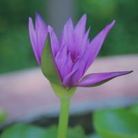 Portrait of a photographer (avatar) Алексей Моисеенко (Alexey Moiseenko)