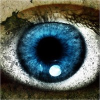 Portrait of a photographer (avatar) Long Nguyen (Nguyen Hoang Long)