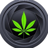 Portrait of a photographer (avatar) Hossein Sedghi (Hossein sedghi)