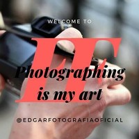 35Photo profile picture for @noguera