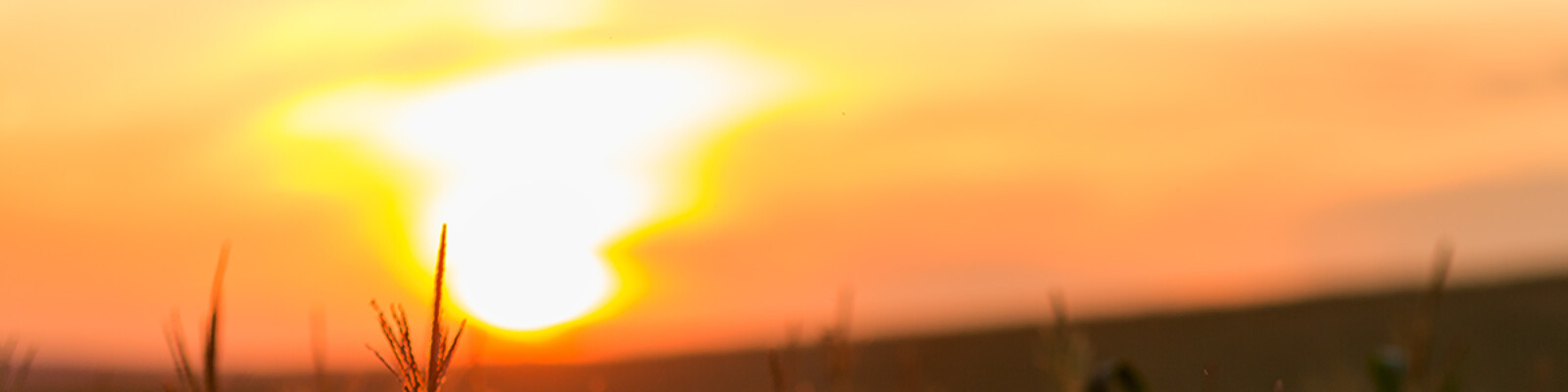 35Photo banner for @salina