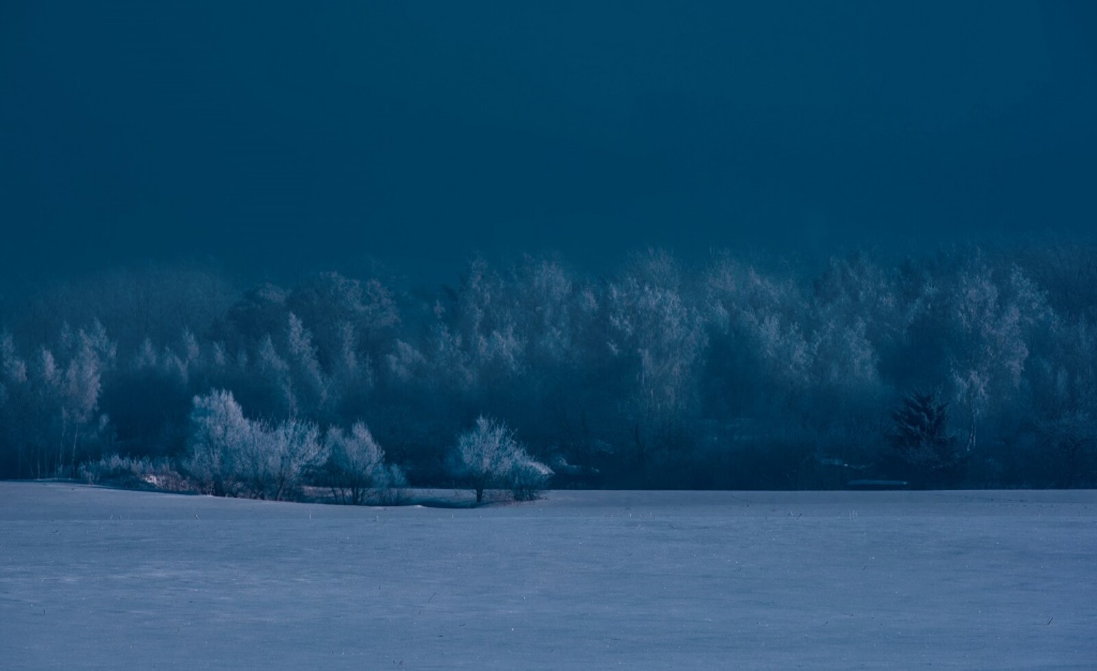35Photo banner for @ems