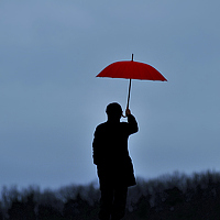 Portrait of a photographer (avatar) 최고운 (old boy)