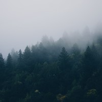 Photo Леся Portrait of a photographer (avatar) Леся