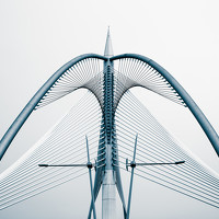 Portrait of a photographer (avatar) Liang Sheng