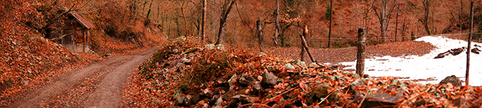 35Photo banner for @gunman