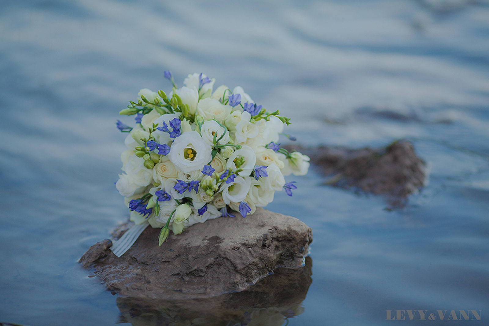 35Photo banner for @levy