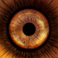 Portrait of a photographer (avatar) Сергей Федотов (Sergey Fedotov)