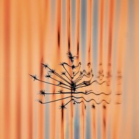 Portrait of a photographer (avatar) Veronika K Ko