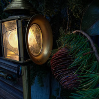 Portrait of a photographer (avatar) Марина Пшен (Marina Pshen)