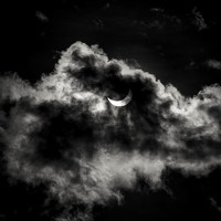 Portrait of a photographer (avatar) Pablo HANOI (Pablo)