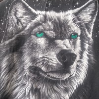 Portrait of a photographer (avatar) Lidija Jevremovic