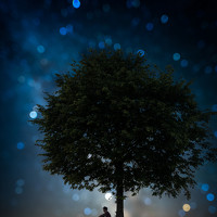 Photo alexander forst Portrait of a photographer (avatar) alexander forst