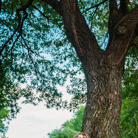 Portrait of a photographer (avatar) Регина Немчинова (REGINA NEMCHINOVA)