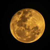 35Photo profile picture for @josman