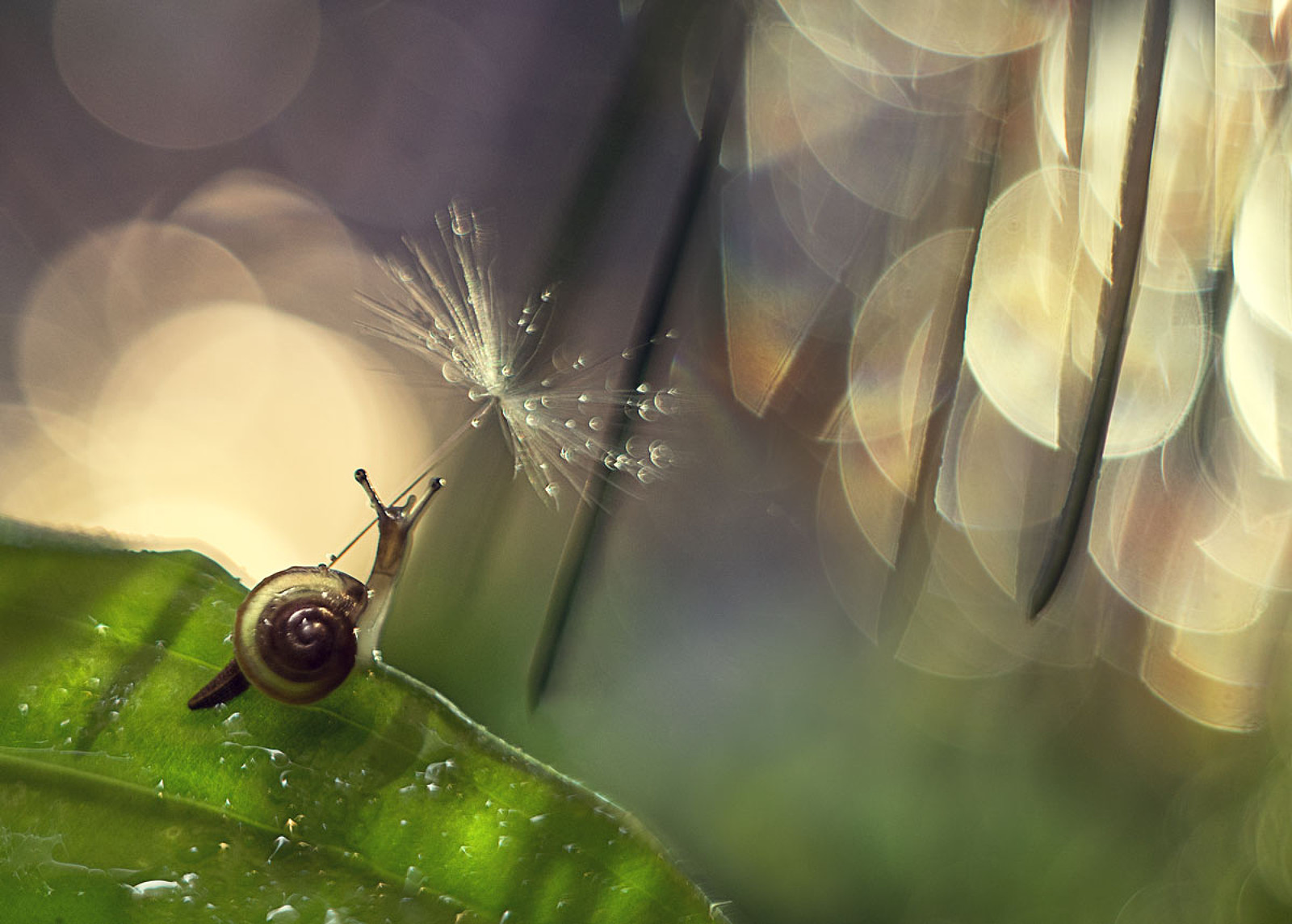 35Photo banner for @cased